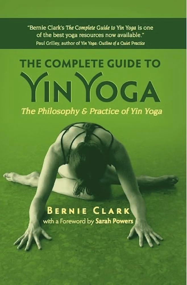 What is the synopsis of YinSights a journey into the philosophy and practice of Yin Yoga?
