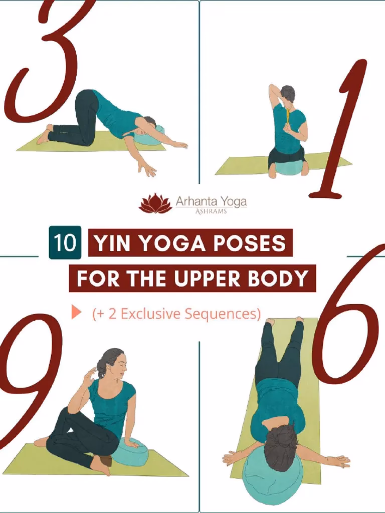 What are the upper body meridians in Yin Yoga?