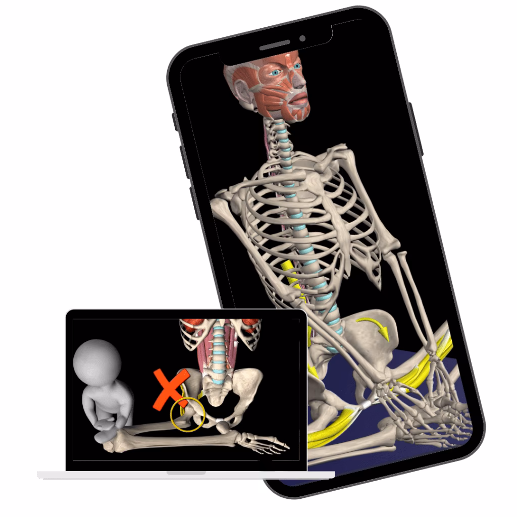 Which app is best for learning anatomy?