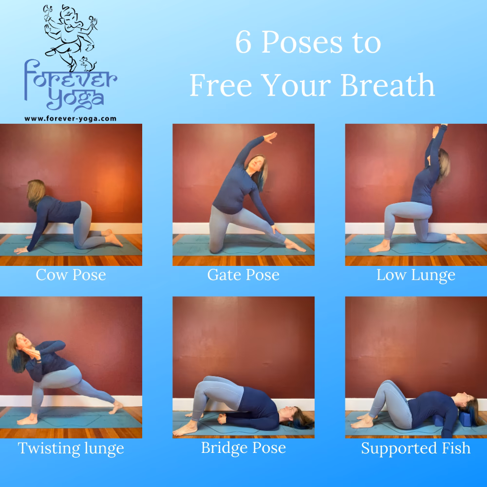 What are the three types of breathing in yoga?