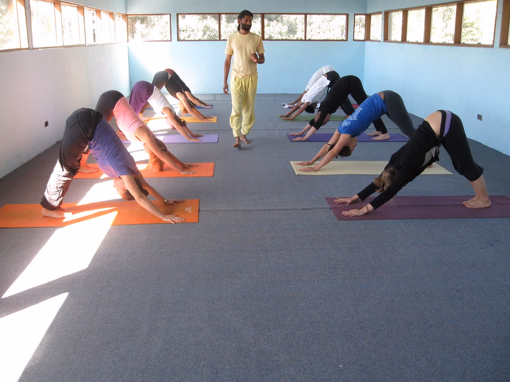 How do I get my yoga certificate?