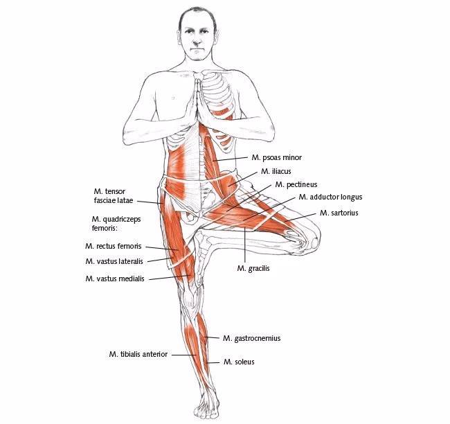 Was ist die schwierigste Yoga-Übung der Welt?