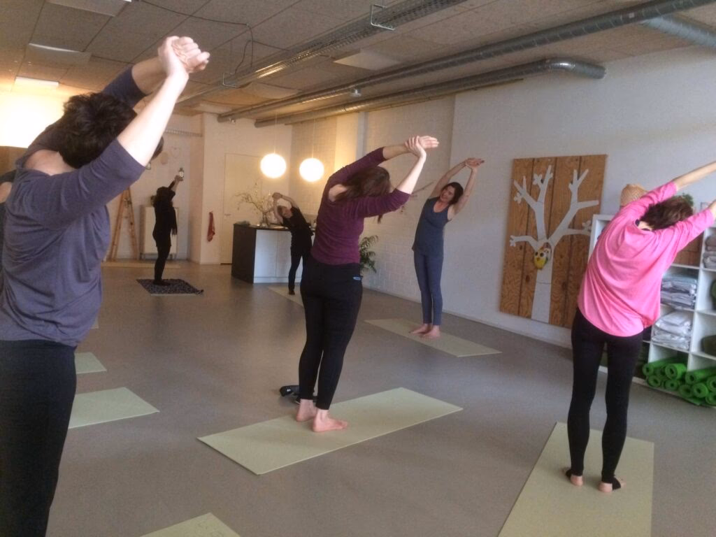Wat is de beste yoga voor beginners?