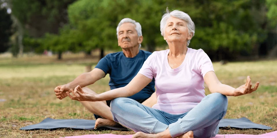 What is the best type of yoga for seniors?