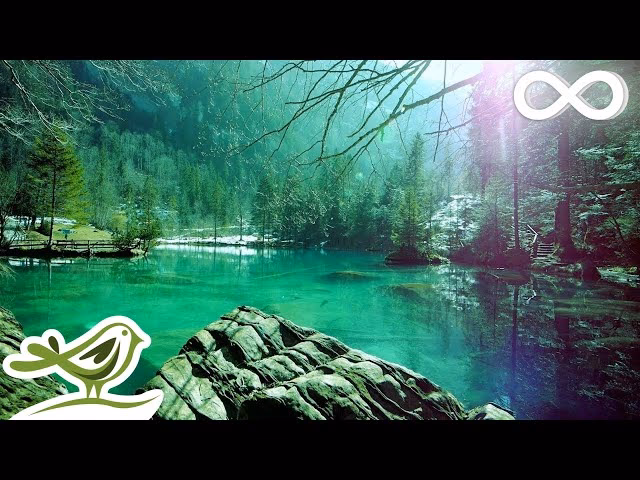 What is the scientifically best music for sleep?