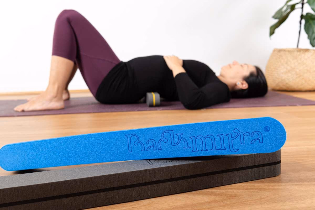 What is yoga mitra?