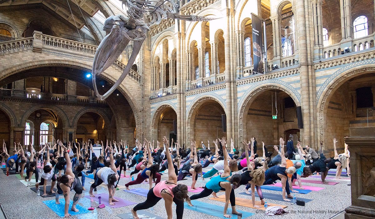 What is the coolest thing in the Natural History Museum?