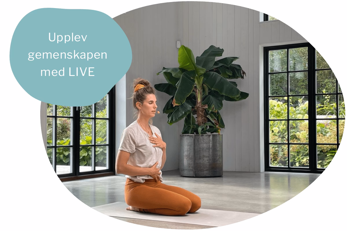 Hur ofta ska man gå på yoga?