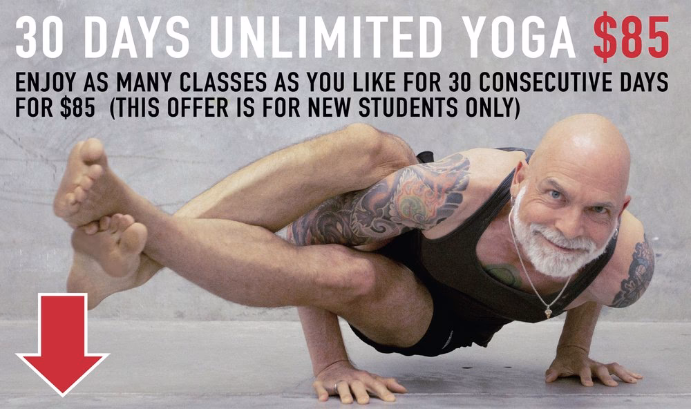 Does Yogi Bear do yoga?